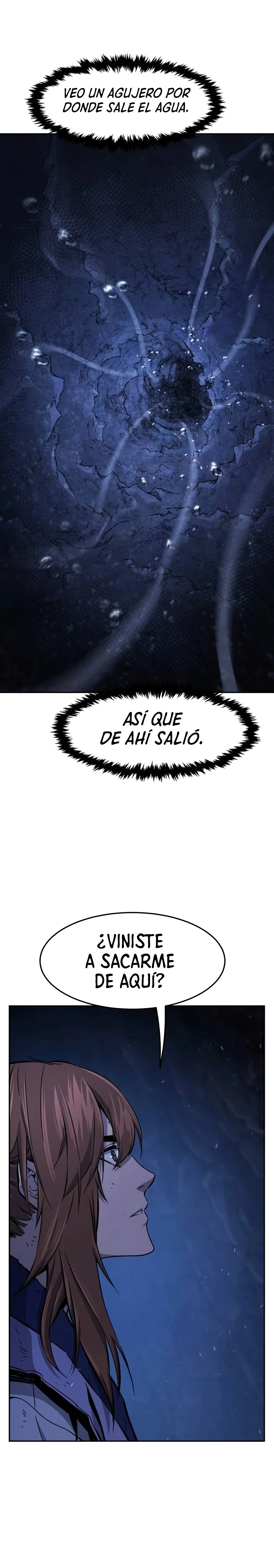 El Sentido Absoluto de las Espadas > Capitulo 113 > Page 321