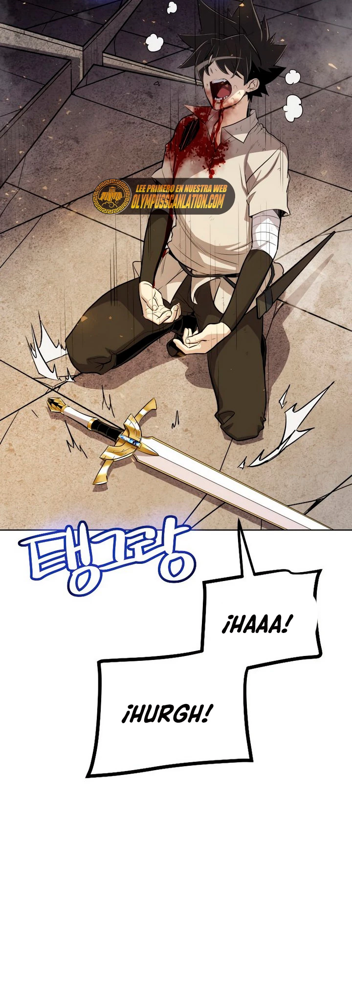 Espada OP > Capitulo 41 > Page 611