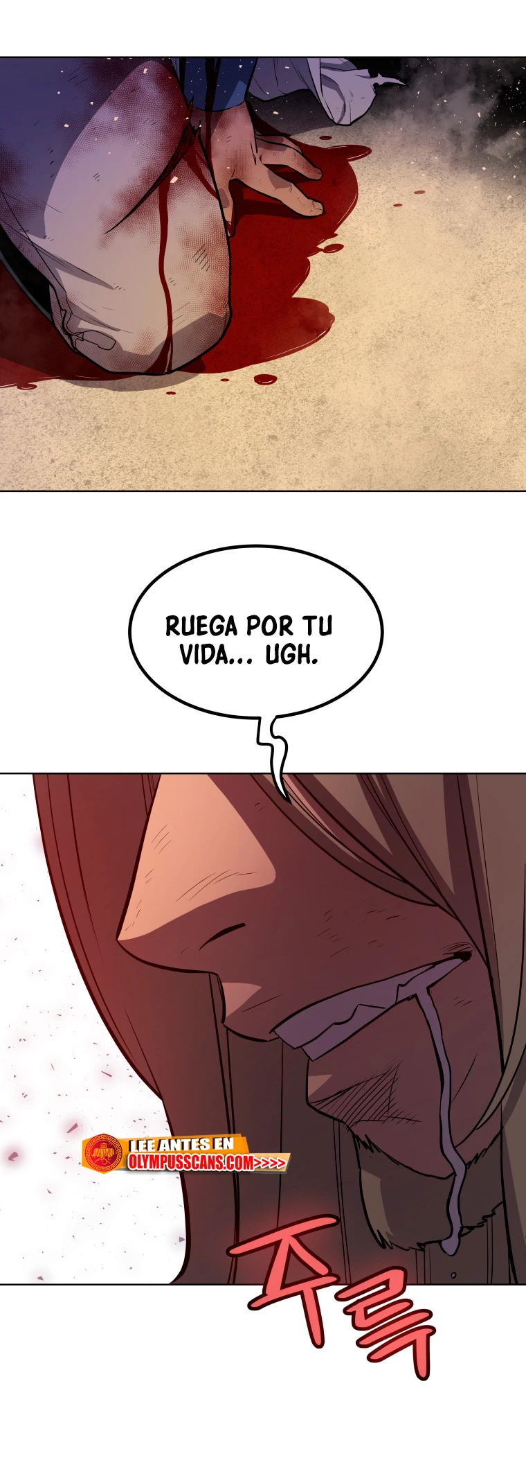 Espada OP > Capitulo 66 > Page 261