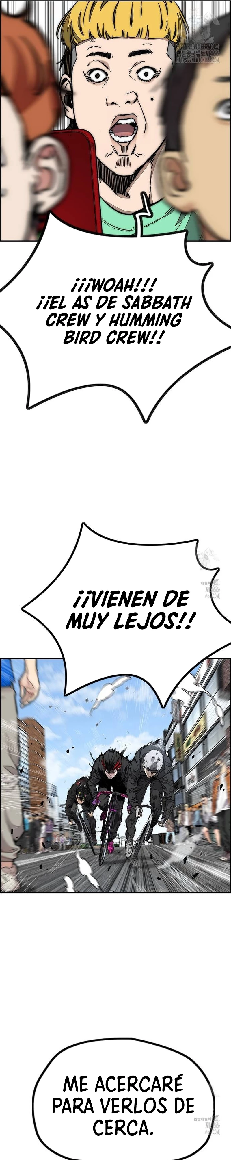 Wind Breaker (RompeVientos) > Capitulo 530 > Page 241